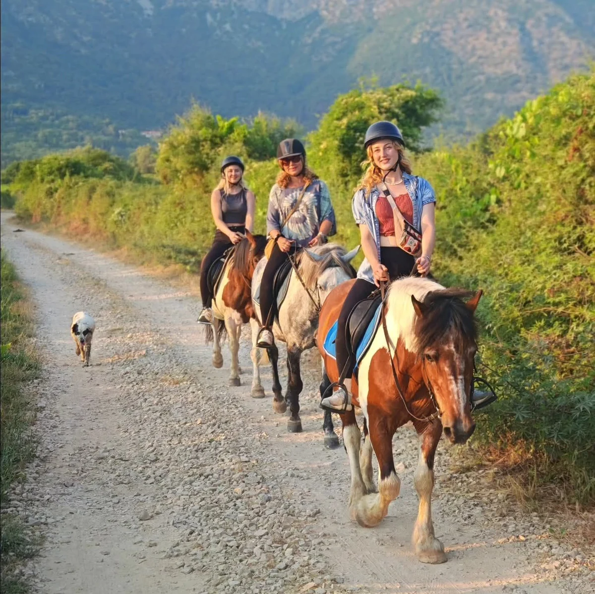 A Ranch Built on Passion for Horses